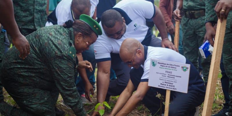Ivory Coast: An initiative allows the reforestation of five hectares of land in Divo©BGFI BANK