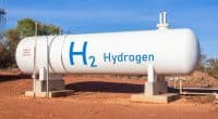 NAMIBIE : à Swakopmund, le français HDF veut produire de l’hydrogène vert dès 2024© Sahara Prince/Shutterstock