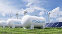 MAURITANIA: Total Eren joins Chariot's Nour green hydrogen project © vanitjan/Shutterstock