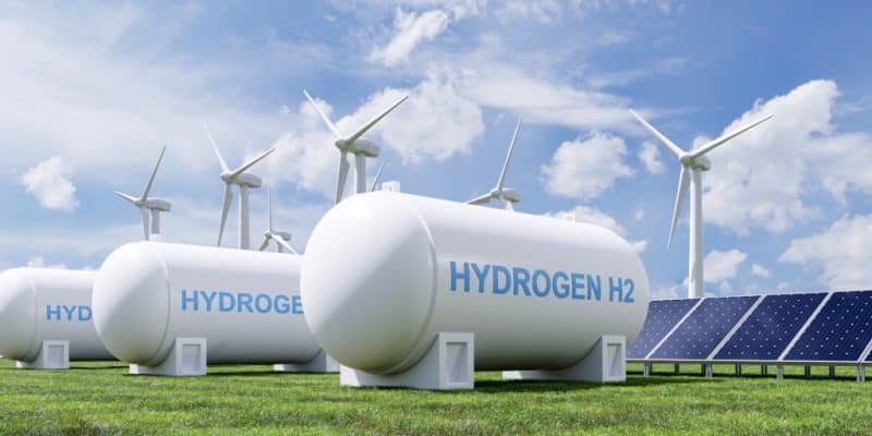MAURITANIA: Total Eren joins Chariot's Nour green hydrogen project © vanitjan/Shutterstock