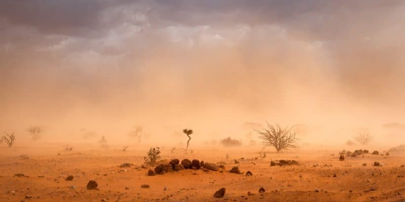 AFRIQUE : 277 Md$ sont nécessaires par an pour l’adaptation au changement climatique ©Stanley Dullea/Shutterstock