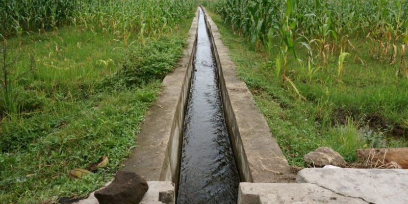 MAROC : le programme « Irrisat » est lancé pour optimiser l’eau d’irrigation©jogjalovers/Shutterstock