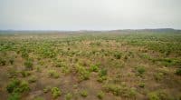 CAMEROUN : au Nord, 11 000 hectares de terres seront irrigués à partir de la Bénoué©antoinee/Shutterstock