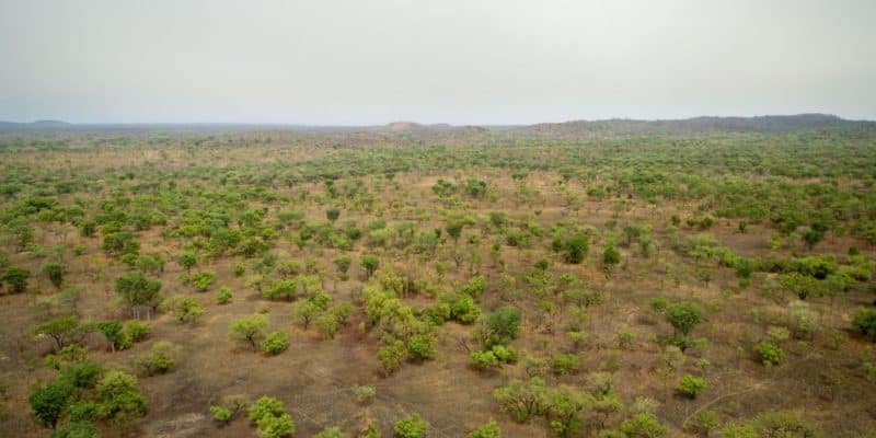 CAMEROUN : au Nord, 11 000 hectares de terres seront irrigués à partir de la Bénoué©antoinee/Shutterstock