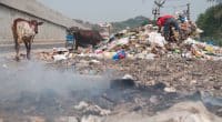 AFRIQUE : les États adoptent de nouvelles mesures face à la pollution par les déchets©Strahil Dimitrov/Shutterstock