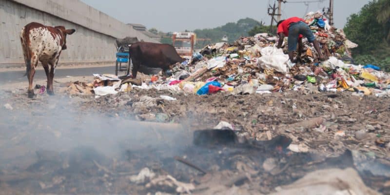 AFRIQUE : les États adoptent de nouvelles mesures face à la pollution par les déchets©Strahil Dimitrov/Shutterstock