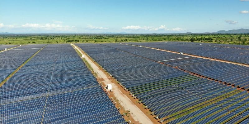 AFRIQUE DU SUD : Revego investit dans 3 parcs solaires dans le Cap Nord et le Limpopo © Tukio/Shutterstock
