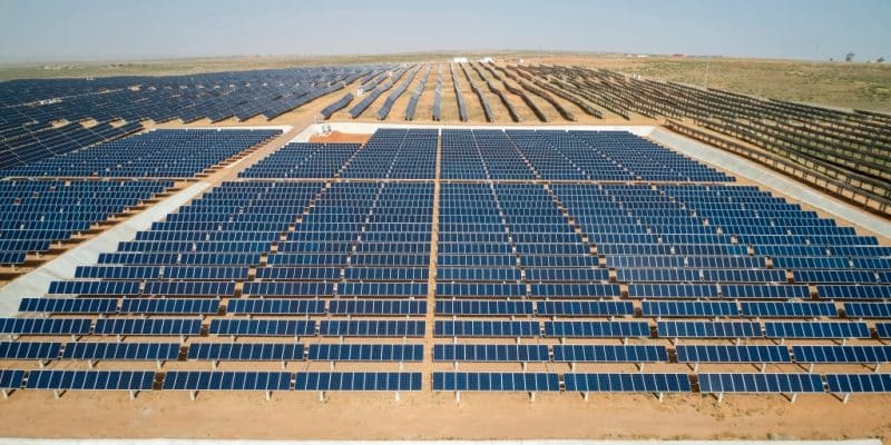SOUTHERN AFRICA: Emesco gets approval for a solar farm connected to the SAPP© Jenson/Shutterstock