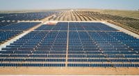 AFRIQUE AUSTRALE : Emesco obtient le quitus pour un parc solaire connecté sur le SAPP© Jenson/Shutterstock
