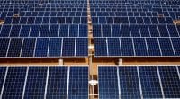 COP27 : à Charm el-Cheikh, les débats seront alimentés par un parc solaire de 5 MWc© /Shutterstock