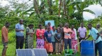 OUGANDA : EnDev recherche un consultant pour l’irrigation à l’énergie solaire © EnDev