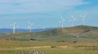 AFRIQUE DU SUD : EDF signe des contrats d’achat d’électricité pour trois parcs éoliens © Steve Tritton/Shutterstock