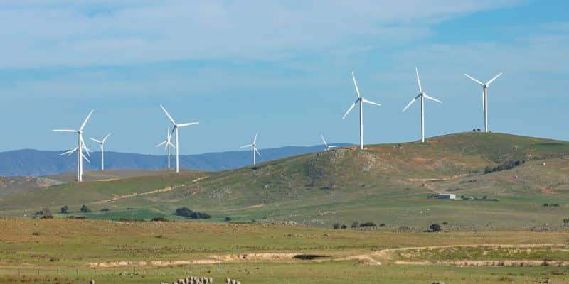 AFRIQUE DU SUD : EDF signe des contrats d’achat d’électricité pour trois parcs éoliens © Steve Tritton/Shutterstock