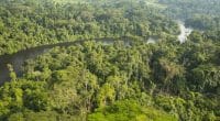 RDC : à Yangambi, un projet axé sur la résilience climatique obtient 2 M€ de l’Unesco©CIFOR