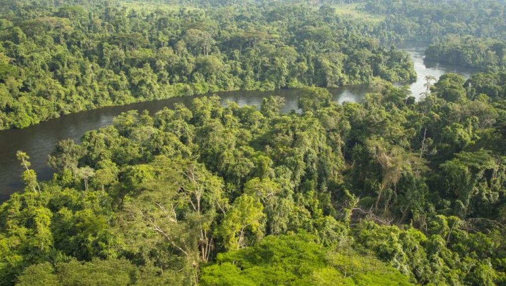 RDC : à Yangambi, un projet axé sur la résilience climatique obtient 2 M€ de l’Unesco©CIFOR