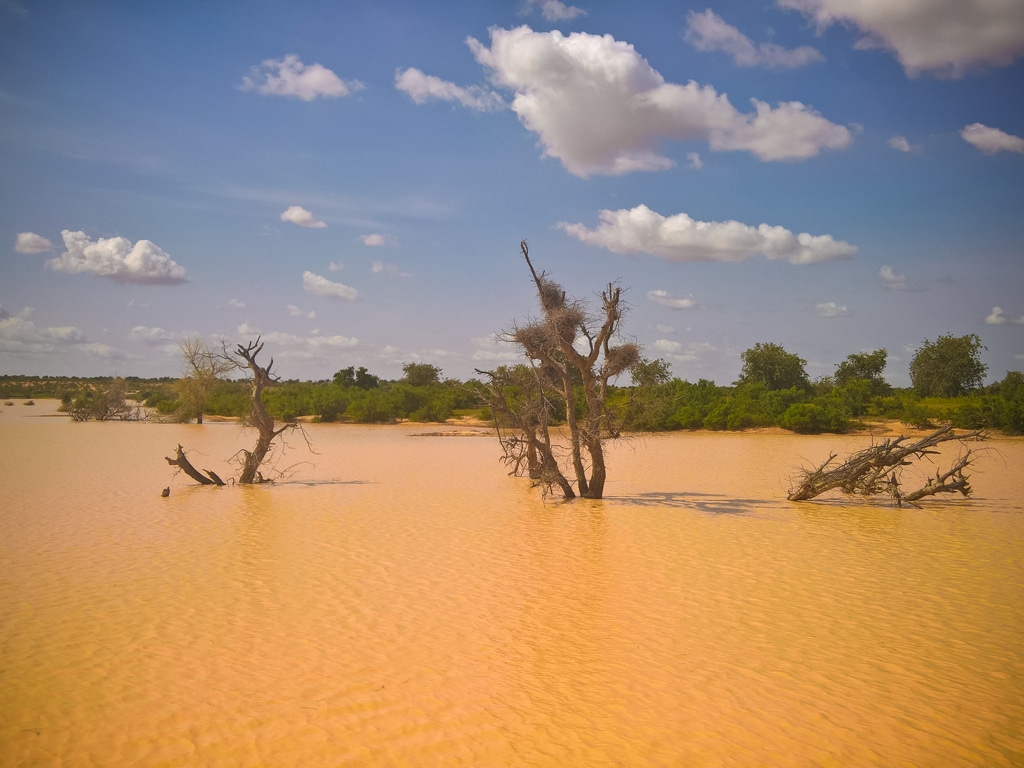 NIGER: After the deadly floods, the Niger River is at rest©Homo Cosmicos/shutterstock