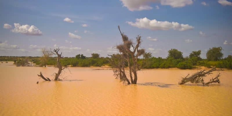 NIGER : après les inondations meurtrières, le fleuve Niger au repos©Homo Cosmicos/shutterstock