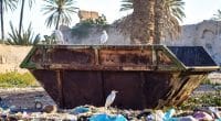 MOROCCO: a call for tenders for the monitoring of waste management in Marrakech ©Tenkl/Shutterstock
