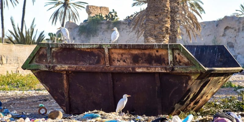 MAROC : un appel d’offres pour le suivi de la gestion des déchets à Marrakech ©Tenkl/Shutterstock