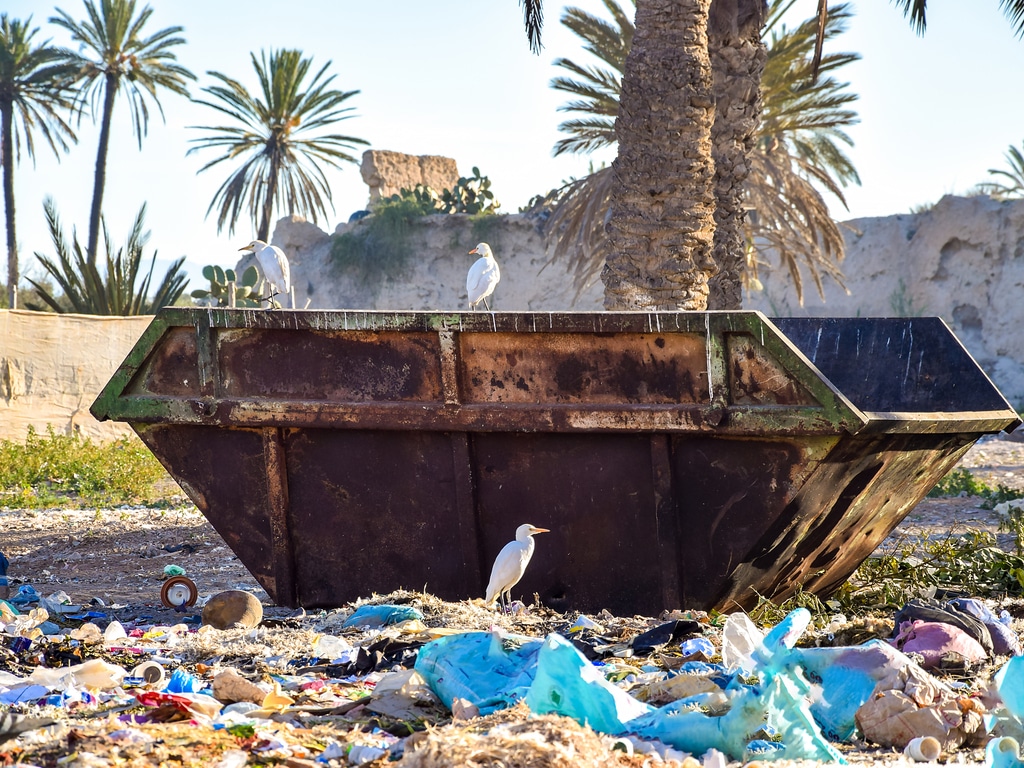 MAROC : un appel d’offres pour le suivi de la gestion des déchets à Marrakech ©Tenkl/Shutterstock