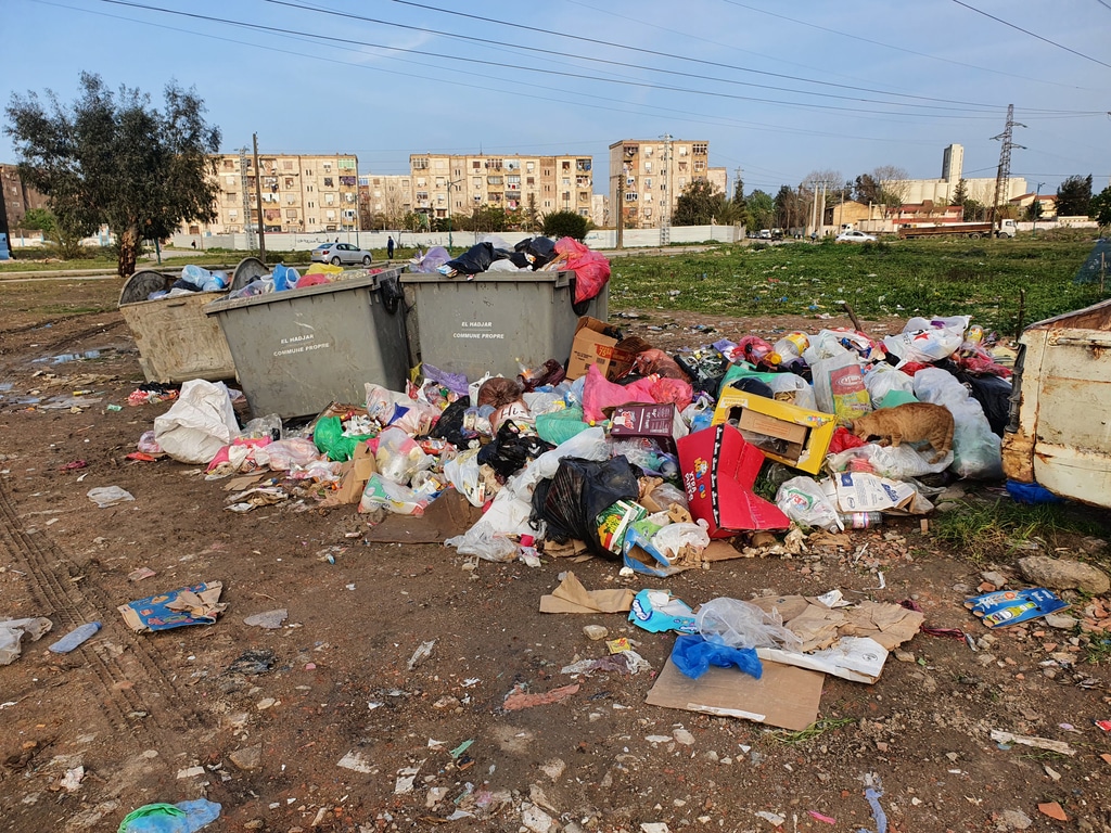 ALGÉRIE : à Khenchela, l’État prône la gestion durable des déchets ©Oussama.houssamOussama.houssam/Shutterstock