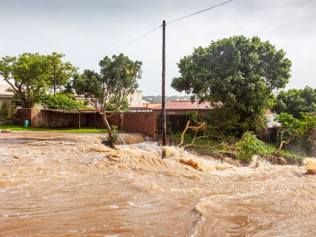 ECCAS: Douala to host Icat-supported climate transparency centre© David Steele/Shutterstock