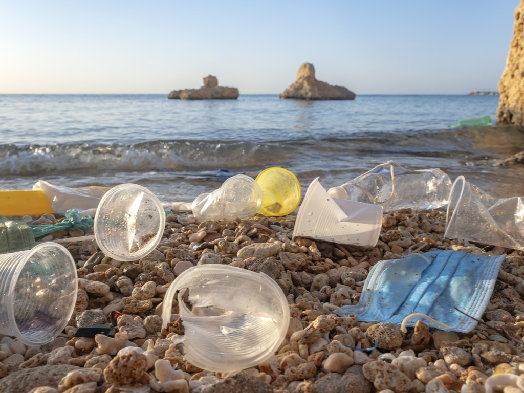 TUNISIE : sept types d’emballages plastiques désormais interdits de production Andriy Nekrasov/Shutterstock