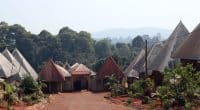 CAMEROON/DRC: Loss of sacred forests a concern© Fela Sanu/Shutterstock