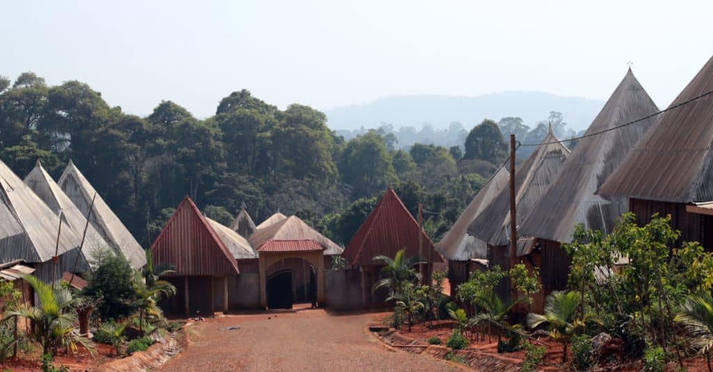 CAMEROUN/RDC : la perte des forêts sacrées préoccupe© akturer/Shutterstock