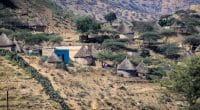 AFRIQUE : trois pays veulent renforcer leurs actions climatiques © Dave Primov/Shutterstock