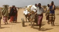 AFRIQUE : la crise climatique provoque la perte annuelle de 15% du PIB par habitant ©mehmet ali poyraz/Shutterstock