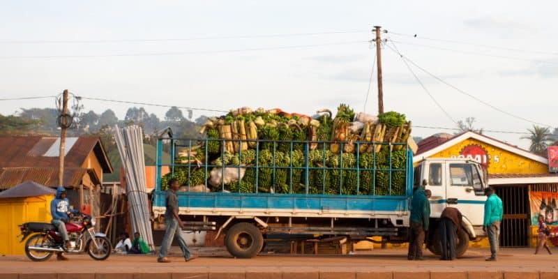 AFRIQUE : des investisseurs engagent 150 M$ contre le gaspillage alimentaire© Travel Stock/Shutterstock