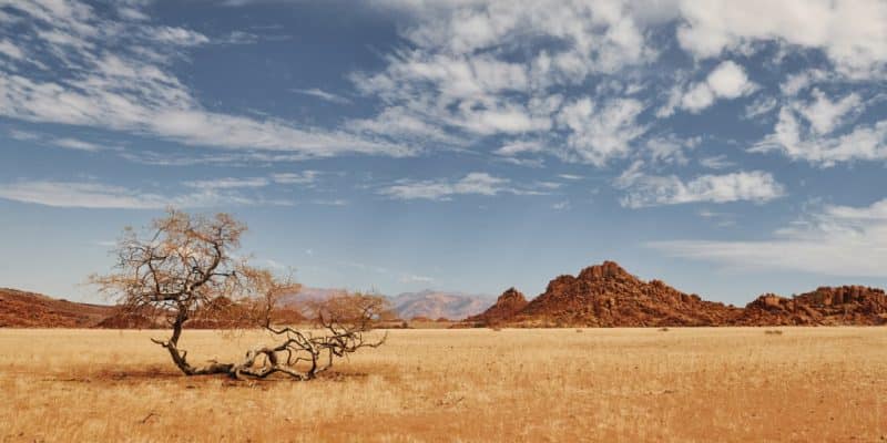AFRIQUE : le Lab lance sept instruments financiers pour soutenir l’action climatique © Standret/Shutterstock