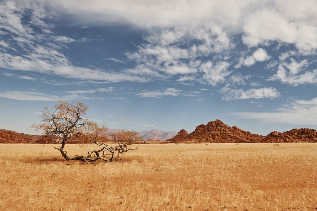 AFRIQUE : le Lab lance sept instruments financiers pour soutenir l’action climatique © Standret/Shutterstock