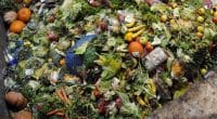 AFRICA: UN warns of food waste in the face of food insecurity ©FAO