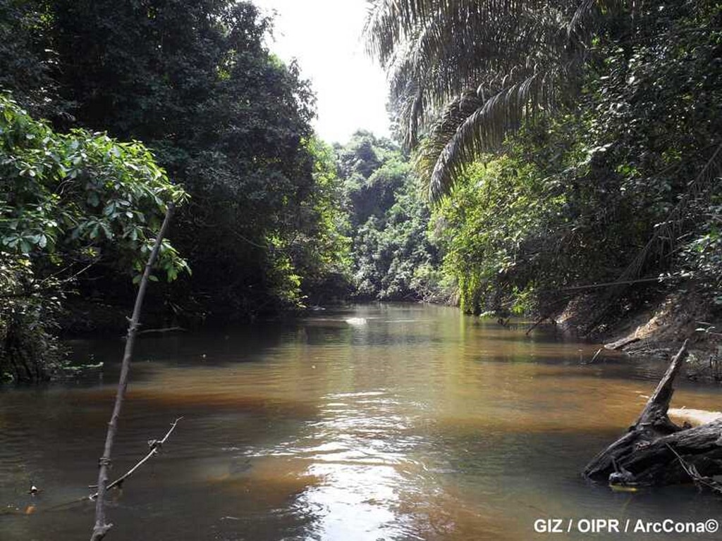 CÔTE D’IVOIRE/LIBERIA : vers la conservation du complexe forestier Taï-Grebo-Sapo©GIZ