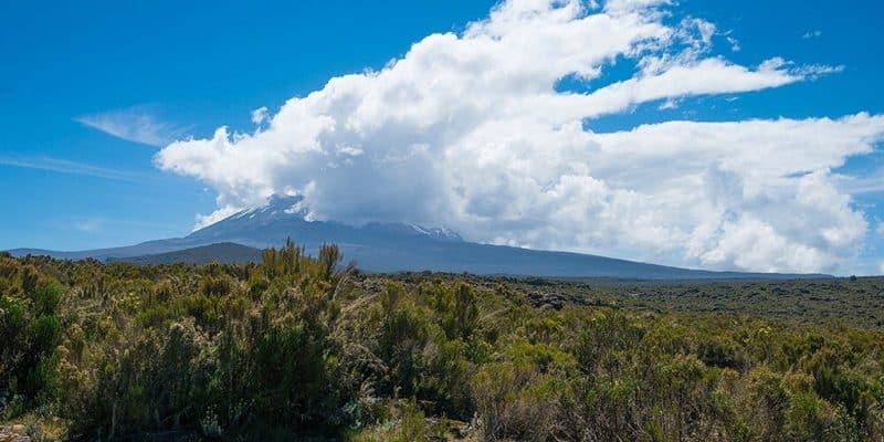 TANZANIA: now under control, a fire shakes the ecosystem of Kilimanjaro © UNESCO