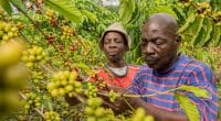 AFRICA: Nestlé to invest €1bn in the Nescafé 2030 Sustainable Coffee Plan © Nestlé