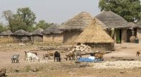 CAMEROON: $300m in funding for climate-resilient infrastructure© wlablack/Shutterstock
