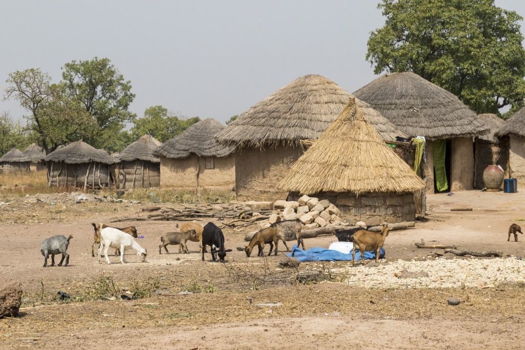 CAMEROUN : un financement de 300 M$ pour des infrastructures climato-résilientes© wlablack/Shutterstock