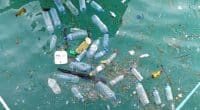 ÉGYPTE/TUNISIE : le projet « plastics Busters Cap » pour réduire la pollution marine©Mr.anaked/Shutterstock