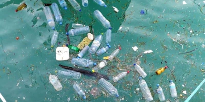 ÉGYPTE/TUNISIE : le projet « plastics Busters Cap » pour réduire la pollution marine©Mr.anaked/Shutterstock