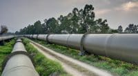 EGYPT: A double pipeline to bring irrigation water to the NAC©PaulWong/Shutterstock