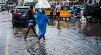 NIGERIA : de violentes inondations causent la mort de 600 personnes ©Tolu Owoeye /Shutterstock