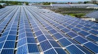ZIMBABWE: DPA to supply 2.5 MWp of solar power to Varun factory in Harare © Bilanol/Shutterstock