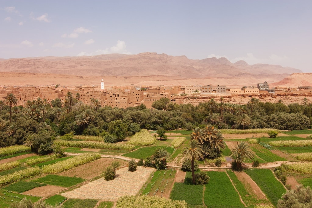 EGYPT: A 2.2 MW solar farm for desalination of irrigation water in Mohgra© Peter Salaj/Shutterstock