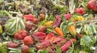 GHANA: food waste costs $65 billion a year© Candace Hartley/Shutterstock