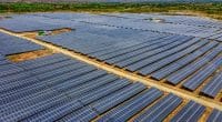 CEDEAO : vers la construction d’un parc solaire de 150 MWc connecté sur le WAPP© Nguyen Quang Ngoc Tonkin/Shutterstock