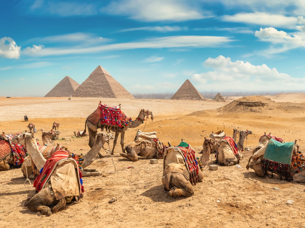 EGYPT: 400 camels show off nature's prowess on the tracks of Salloum©givaga/ shutterstock