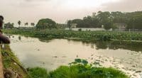 Ivory Coast: In response to pollution, 13 lakes will be cleaned up in Yamoussoukro©Liking Leba/Shutterstock